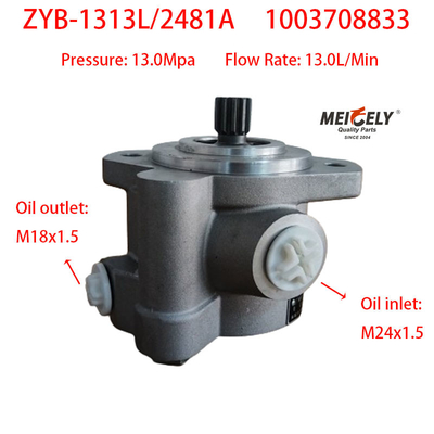 यंगचाई ZYB-1313L/2481A पावर स्टीयरिंग पंप 1003708833