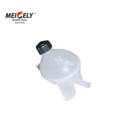 टिकाऊ 217104354R रेनॉल्ट भारी शुल्क ट्रकों के लिए शीतलन पानी टैंक