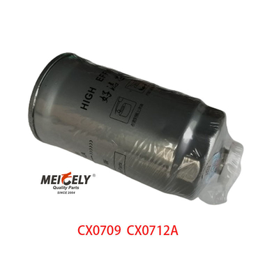 CX0709 ट्रकों के लिए ईंधन फिल्टर 3000-1105020
