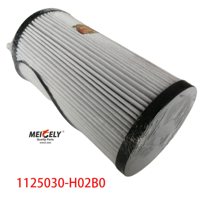 1125030-H02B0 ट्रक पार्ट्स ईंधन फिल्टर के लिए Dongfeng Tianlong