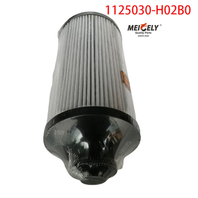 1125030-H02B0 ट्रक पार्ट्स ईंधन फिल्टर के लिए Dongfeng Tianlong