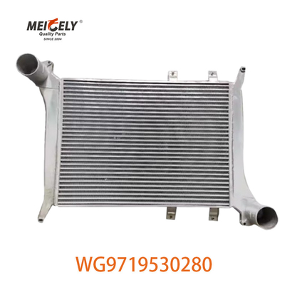 OEM WG9719530280 Howo इंटरकूलर विधानसभा के लिए WG9719530281