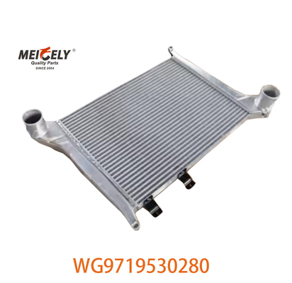 OEM WG9719530280 Howo इंटरकूलर विधानसभा के लिए WG9719530281