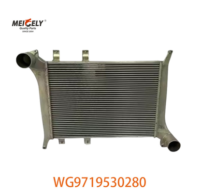 OEM WG9719530280 Howo इंटरकूलर विधानसभा के लिए WG9719530281