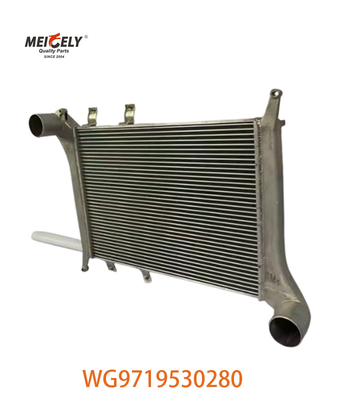 OEM WG9719530280 Howo इंटरकूलर विधानसभा के लिए WG9719530281