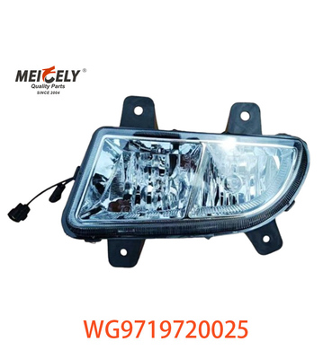 Sinotruk Howo इंजन हेवी ड्यूटी ट्रक समूहित लैंप WG9719720025 WG9719720001