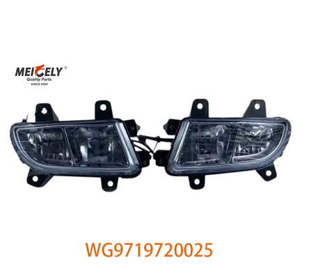 Sinotruk Howo इंजन हेवी ड्यूटी ट्रक समूहित लैंप WG9719720025 WG9719720001