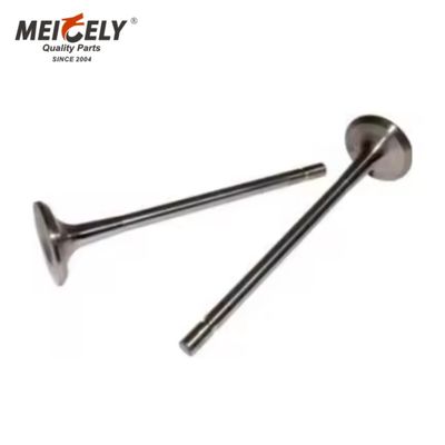 उच्च गुणवत्ता वाले इंजन वाल्व C7.IN D6E.EX CI3.EX इंटेक वाल्व एग्जॉस्ट वाल्व इंजीनियरिंग मशीन के लिए