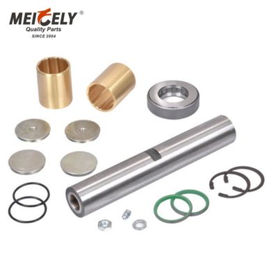 5000793828 उच्च गुणवत्ता वाले यूरोपीय ट्रक इंजन पार्ट्स रिपेयर किट 5000794318 RVI ट्रक पार्ट्स के लिए